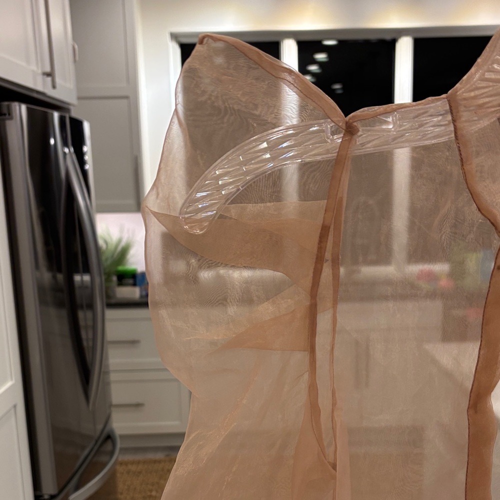 Zara Sheer Beige Blouse - Picture 2 of 7